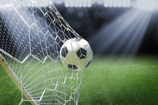 "Köhnə qitə nəhəngləri" xeyriyyə aksiyasına hazırlaşır