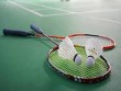 Xüsusi olimpiyaçılar arasında badminton yarışlarında &nbsp;