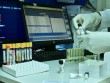 AMADA koronavirus peyvəndi ilə bağlı məlumat verdi