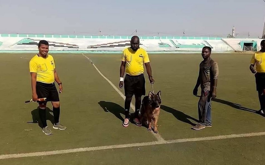 Futbol hakimi təhlükəsizliyi üçün oyunlara iti ilə gedir