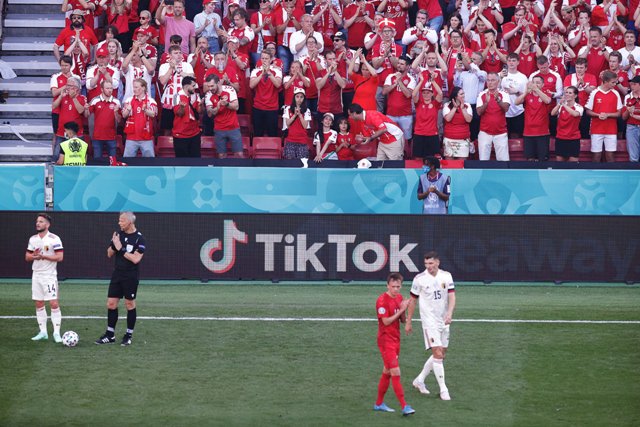 Danimarka &mdash; Belçika matçında yaddaqalan məqamlar &mdash; Fotoreportaj