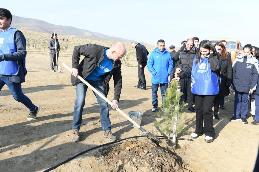 Xocəsən gölü ətrafında ağacəkmə tədbiri keçirilib