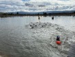 &ldquo;Zəfər yürüşü&rdquo; çərçivəsində keçirilən triatlon turnirində qaliblərin adına aydınlıq gəldi&nbsp;