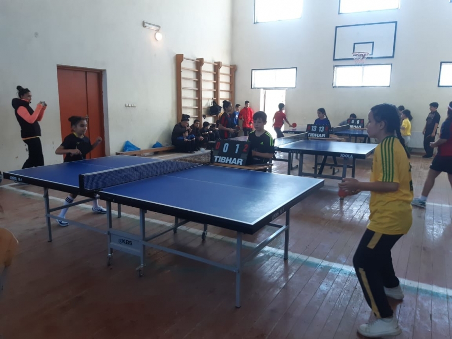 Stolüstü tennisçilər Zəfər Gününə həsr olunmuş birincilikdə yarışıblar 