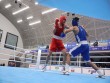 9 boksçumuz çempionluğun bir addımlığında