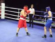 Boksçularımız ilin ilk yarışında 7 medal qazandılar