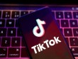 TikTok Azərbaycanda iki milyondan çox videonu silib