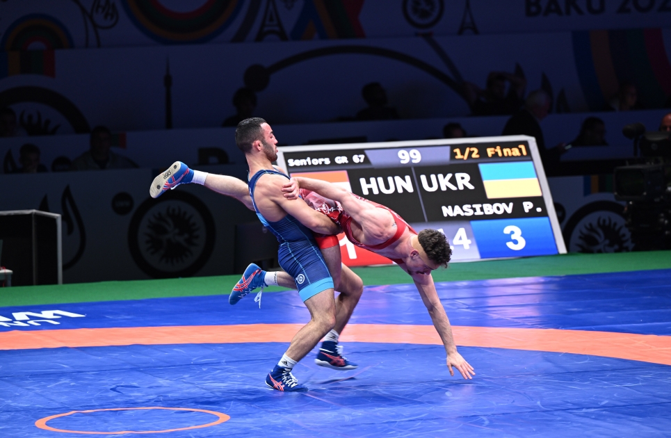 Ukraynanı təmsil edən azərbaycanlı güləşçi Paris Olimpiadasına lisenziya qazandı 