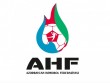 Həndbol klublarımızın Avropa Kubokunda rəqibləri müəyyənləşib
