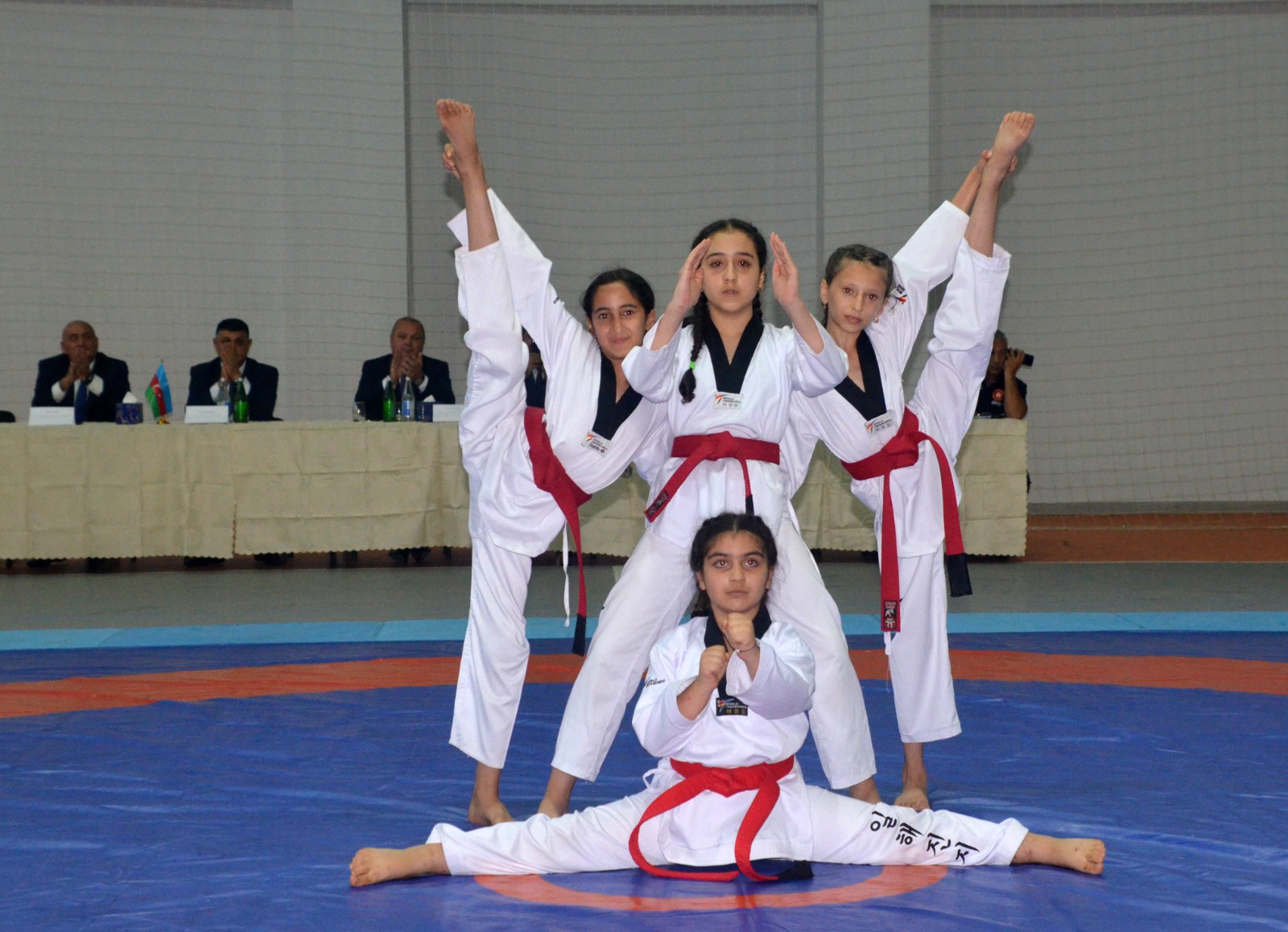 Yardımlı şəhidlərinin xatirəsinə sərbəst güləş üzrə açıq rayon birinciliyi keçirilib