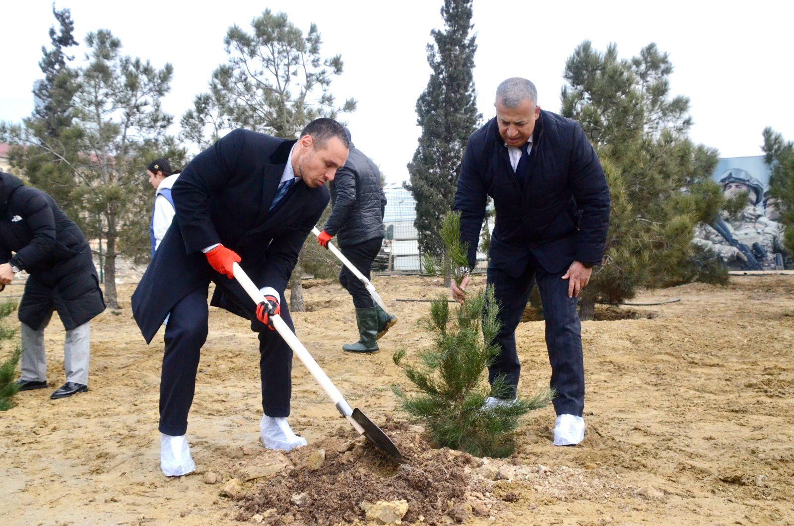 5 Mart - Bədən Tərbiyəsi və İdman Günü münasibətilə ağacəkmə aksiyası keçirilib