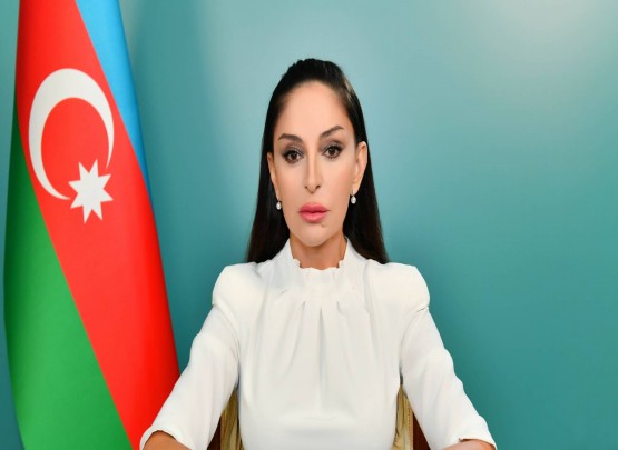 Birinci Vitse-prezident Mehriban Əliyeva Novruz bayramı münasibətilə paylaşım edib