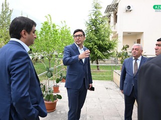 Nazir MDB Oyunları öncəsi idman infrastrukturunun vəziyyəti ilə maraqlanıb 