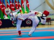 Bakıda koşiki karate üzrə beynəlxalq turnirə yekun vuruldu