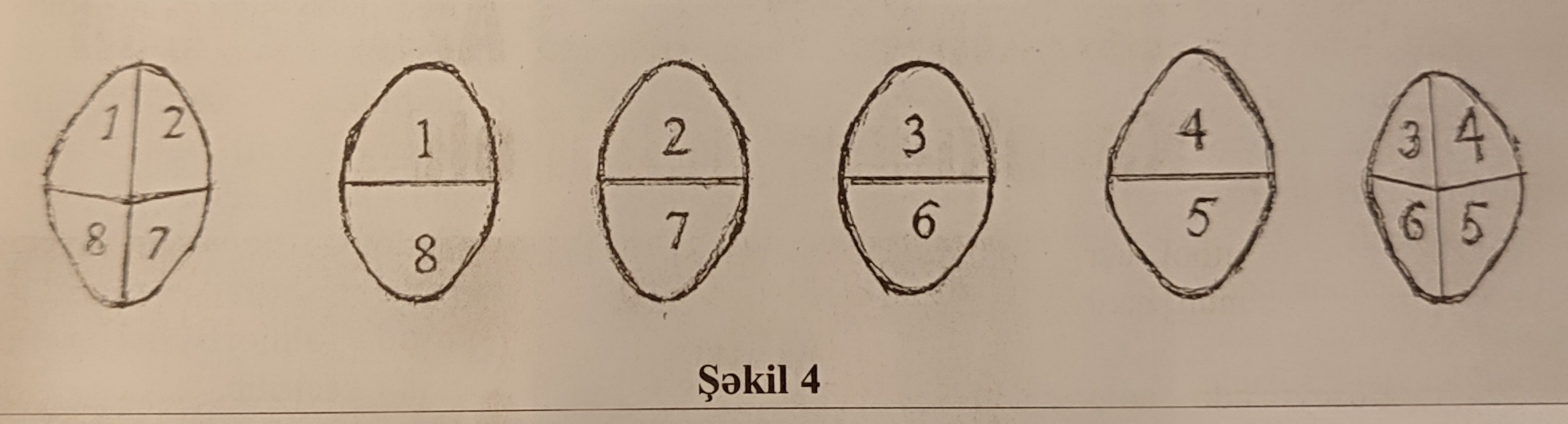 Nərdin yaranması və inkişafına dair&nbsp;