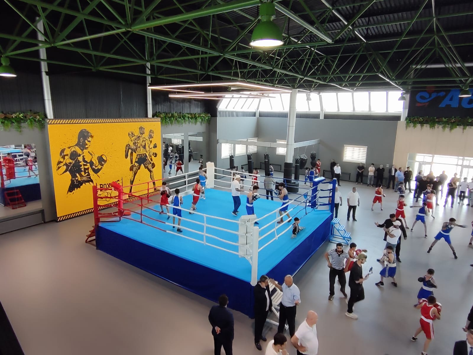 Lənkəranda Cənub Regional Boks Mərkəzinin açılış mərasimi keçirilib - FOTO