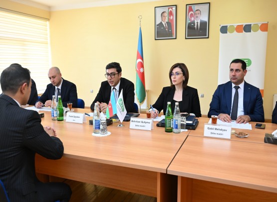 Nazir Yardımlı və Masallı rayon sakinlərini qəbul edib
