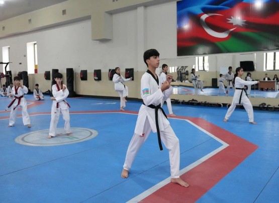 ATF-in təşkilatçılığı ilə dan imtahanı keçirilib