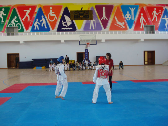 Qaxda şəhidlərin xatirəsinə həsr olunmuş taekvando yarışları