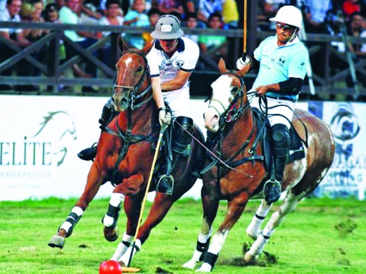 Bakıda atçılığın polo növü üzrə beynəlxalq yarış olacaq