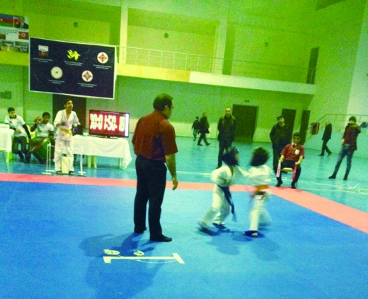 Karateçilər Sabirabadda yarışıblar