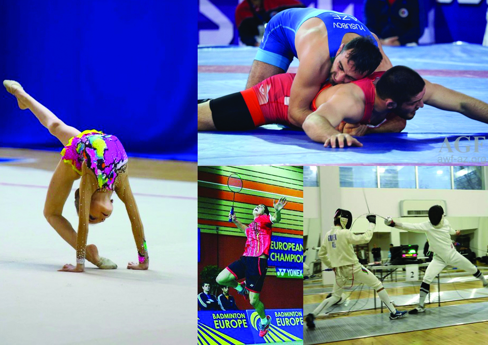 Fevral ayının yekunu "Olimpiya dünyası" qəzetinin təqdimatında