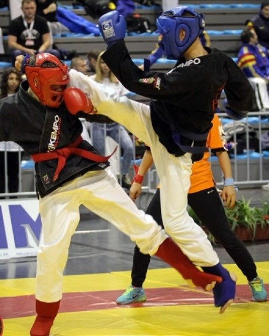 Full kempo üzrə paytaxt turniri keçirilib