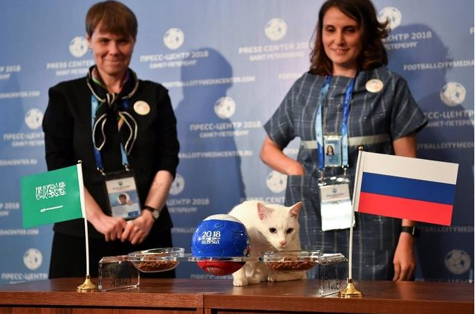 Axilles hansı yığmanın qalib gələcəyini bildirib