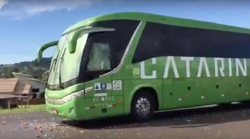 Braziliya millisi yumurta, pomidorla qarşılandı - Video