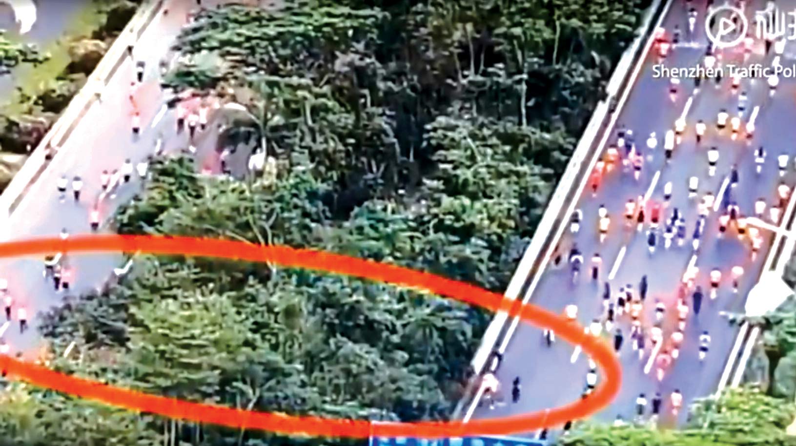 Marafon iştirakçıları cəzalandırıldı - VIDEO