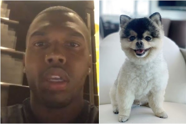 “İtimi qaytarana istənilən qədər pul verəcəyəm”