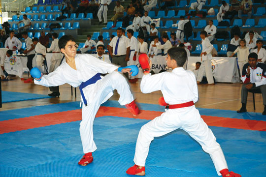 Şəki beynəlxalq turnirə ev sahibliyi etdi