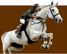 “Karreras MNM” birinci olub