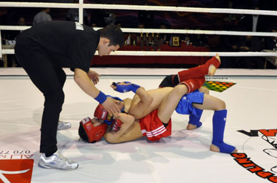 Bakı şəhər açıq çempionatının final mərhələsi keçirilib