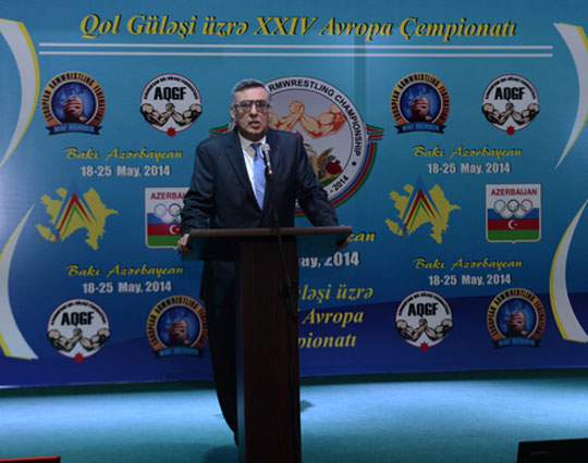 XXIV Avropa çempionatı başladı