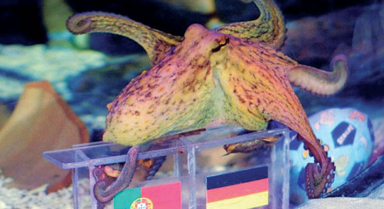 Tarixə qovuşan “Paul”un bacısı nə ilə yadda qalacaq?