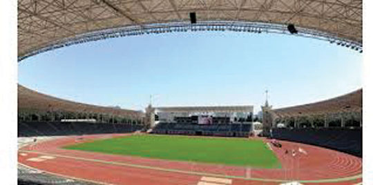 Stadion üçün yeni ot örtüyü