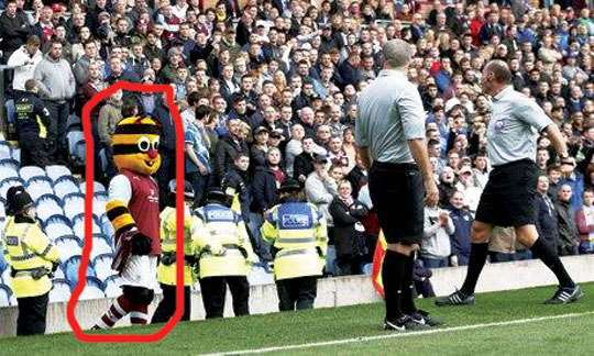 Hakim komandanın talismanını stadiondan qovdu